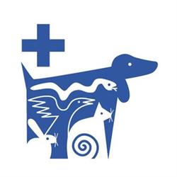 ambulatorio veterinario, Sinnai orari di apertura