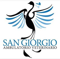Ambulatorio Veterinario San Giorgio, Marcon orari di apertura