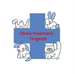 Clinica Veterinaria Tergeste, Trieste orari di apertura