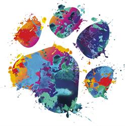 Clinica Veterinaria Nerviano SRL, orari di apertura