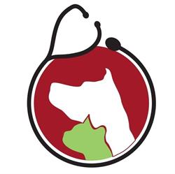 Ambulatorio Veterinario Associato Trecate, orari di apertura
