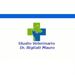 Dr. Mauro Bigliati Veterinario, Torino orari di apertura