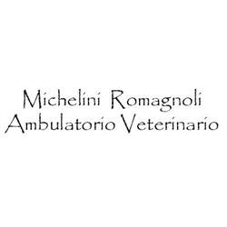 Ambulatorio veterinario Ass. Michelini - Romagnoli, San Filippo del Mela orari di apertura