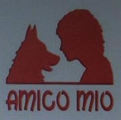 Amico Mio Di Deflorian Morena & C. SNC, Levico Terme orari di apertura