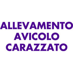 Carazzato Roberta e Rita S.S. Sermide e Felonica, Sermide - Orari di apertura