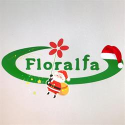 Floralfa S.A.S. Di Fabio Allaria & C., Sanremo orari di apertura