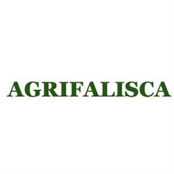 Agrifalisca Sas, Montefiascone orari di apertura