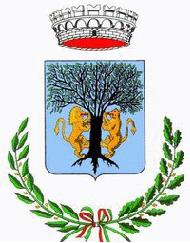 Comune Di Amorosi, orari di apertura