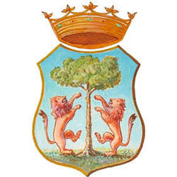 Comune di San Giovanni a Piro, orari di apertura