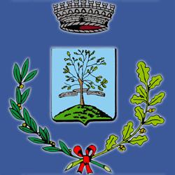 Comune Di Tombolo, orari di apertura