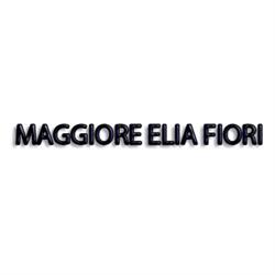 Maggiore Elia Fiori, Milano orari di apertura