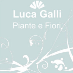 Fiorista Galli Luca, Vaprio d'Adda orari di apertura