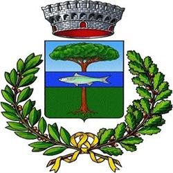 Comune Di Cossongo, Cossogno orari di apertura