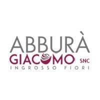 Abburà Giacomo SNC Di Abburà Giovanni e Marco, Torino orari di apertura