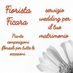 Fiorista Ficara, Canicattini Bagni orari di apertura