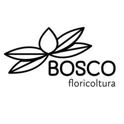 Floricoltura Bosco Isola Della Scala, Isola della Scala orari di apertura