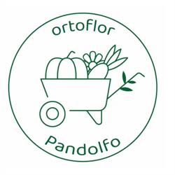 Azienda Agricola Ortoflor Pandolfo, Valdobbiadene orari di apertura