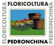 Floricoltura Pedronchina Società Agricola, Porzano orari di apertura