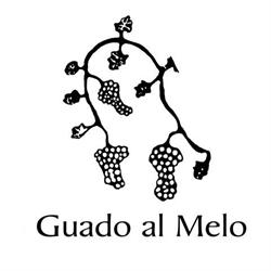 Podere Guado al Melo Società Agricola S.r.l., Castagneto Carducci orari di apertura