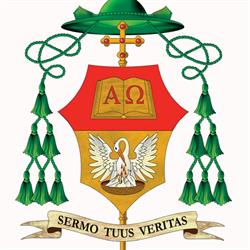 Diocesi Di Civitavecchia - Tarquinia, orari di apertura