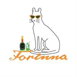 F. o. r. T. U. N. A. - SRL, Roma orari di apertura