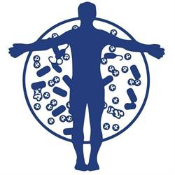 Diagnostica Mori S.r.l., Napoli orari di apertura