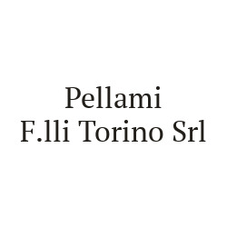 Pellami F.lli Torino, Casandrino orari di apertura