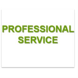 Professional Service, Cosenza orari di apertura