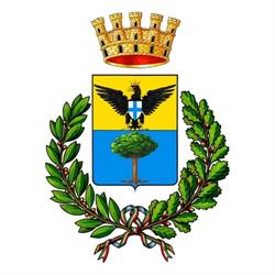 Municipio Comune Di Busseto, orari di apertura