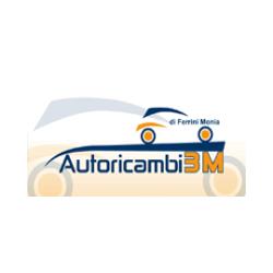 Autoricambi Accessori 3M di Ferrini Monia, Arcidosso orari di apertura