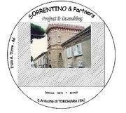 Sorrentino & Partners - Project & Consulting, Torchiara orari di apertura
