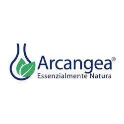 Arcangea SRL, Borghi orari di apertura