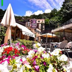 Bar Del Gatto, Alfiano Natta orari di apertura