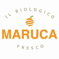 Societa' Agricola Maruca Export, San Calogero orari di apertura