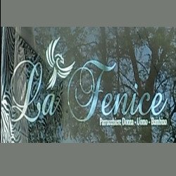 La Fenice, San Donato Milanese orari di apertura