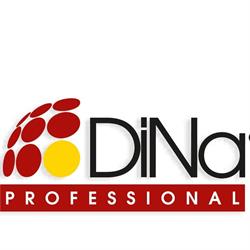 Dina Professional SRL, San Giovanni la Punta orari di apertura