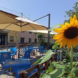 Il Bar Di Bianchini Catia Catia, Greggio orari di apertura