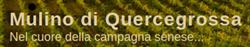 Ristorante Il Mulino di Quercegrossa, Castelnuovo Berardenga orari di apertura