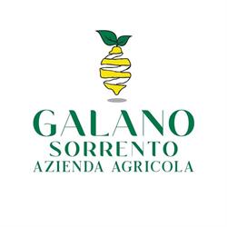 Azienda Agricola Galano - Lemon Tour Experiences, Sorrento orari di apertura