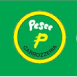 Carrozzeria Officina e Gommista Pesce, Mirano orari di apertura