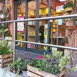 Il Pane Dei Volonte' SRL, Tavernerio orari di apertura