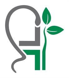 Farmacia San Gallo Del Dr. Lorenzo Miolli & C. Sas, Moggio Udinese orari di apertura