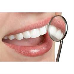 Studio Dentistico Dr. Doveri Cristiano, Terricciola orari di apertura