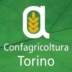 Confagricoltura - Unione Agricoltori, Torino orari di apertura