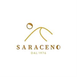 Saraceno Ieri - Oggi - Domani, Torino orari di apertura