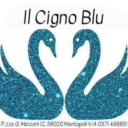 Il Cigno Blu Di Ciurli Alessandra e Onorati Maria Pia, Montopoli in Val d'Arno orari di apertura