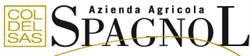 Spagnol Remo, Conegliano orari di apertura