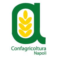 Confagricoltura Napoli, orari di apertura