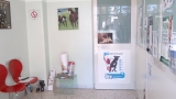 Centro Veterinario Dr. Elisa Castorina, Tremestieri Etneo orari di apertura