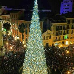 Decolight SRL Di Criscuolo Gennaro Luminarie, Pomigliano d'Arco orari di apertura